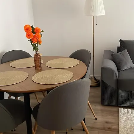 Business Loft - Parking - Fast Wi-fi - Near Coresi *